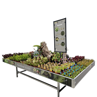 Plant collect Cactus colletion display