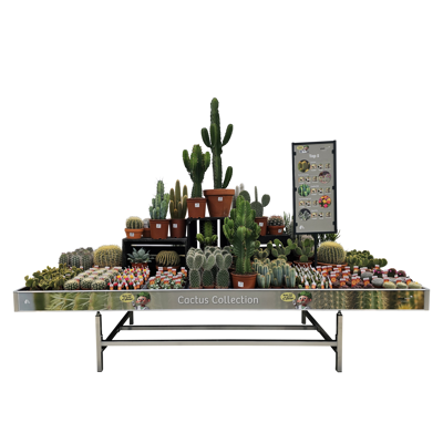 Plant collect Cactus colletion display