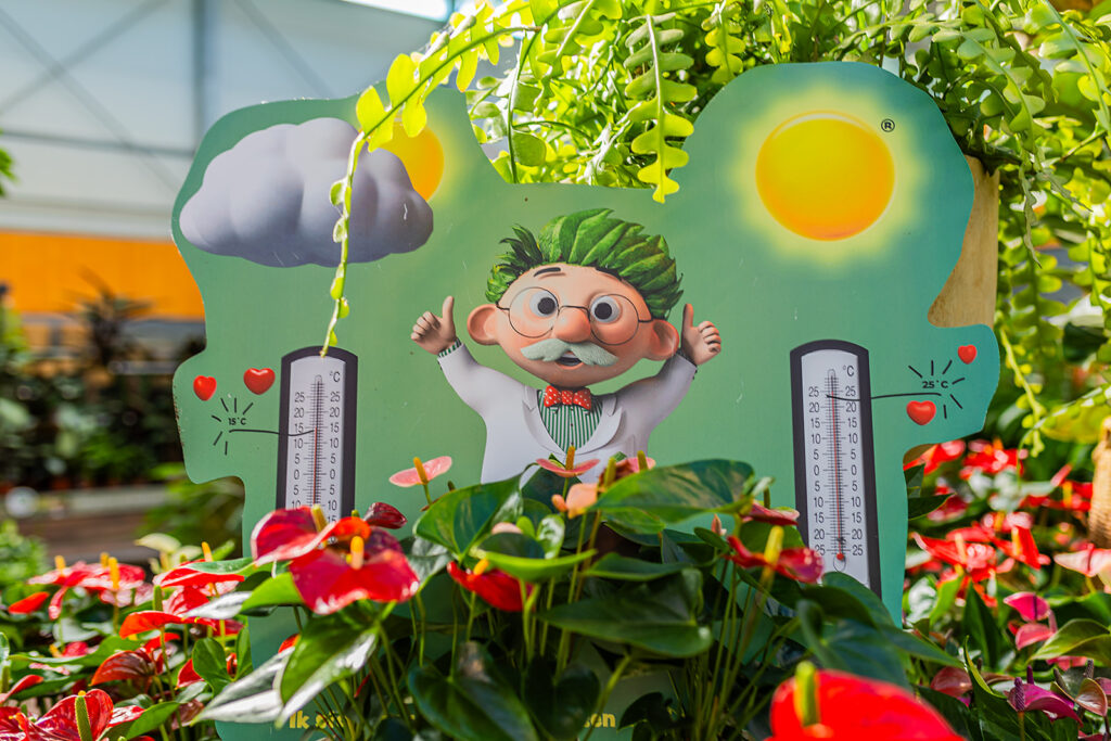 Transporthalle mit lila Blumen – Plant collect
