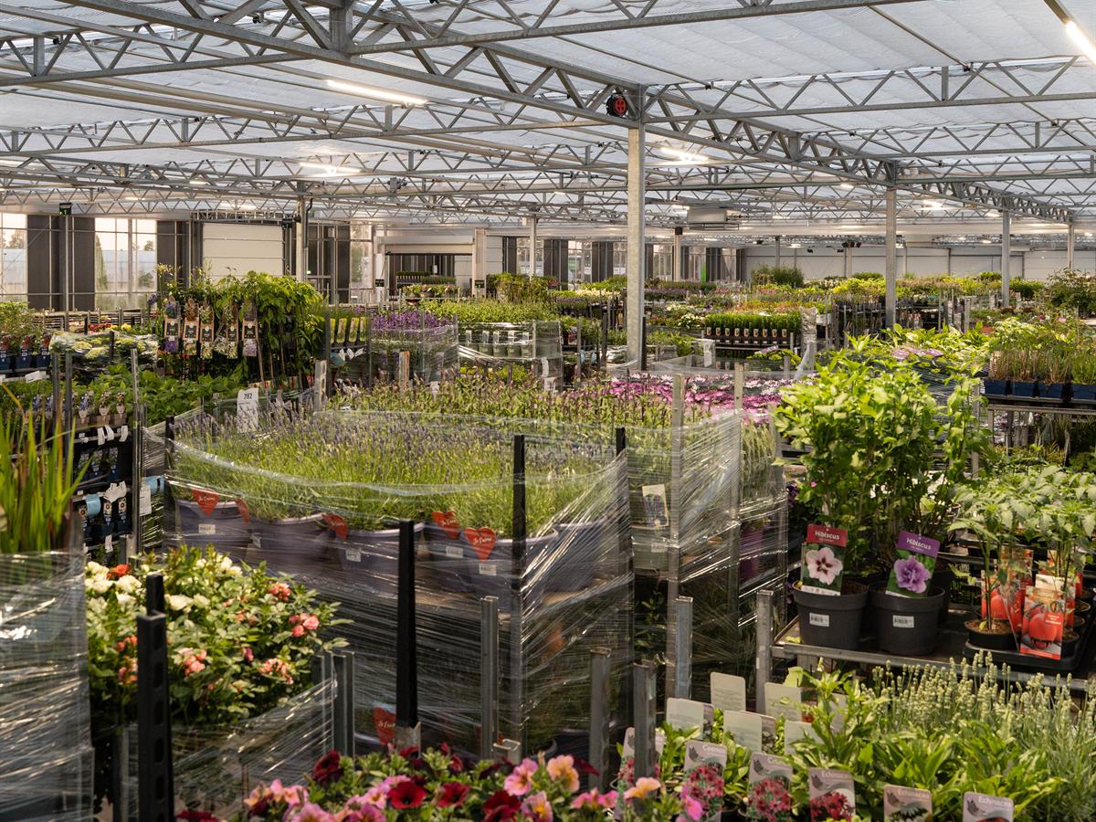Presentatie van tuinplanten en perkgoed tijdens de beurs