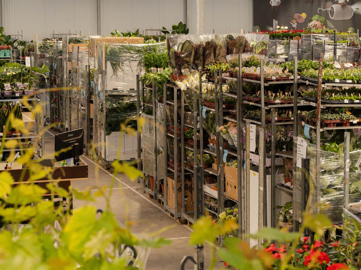 Karren met kamerplanten en concepttafels in de hal