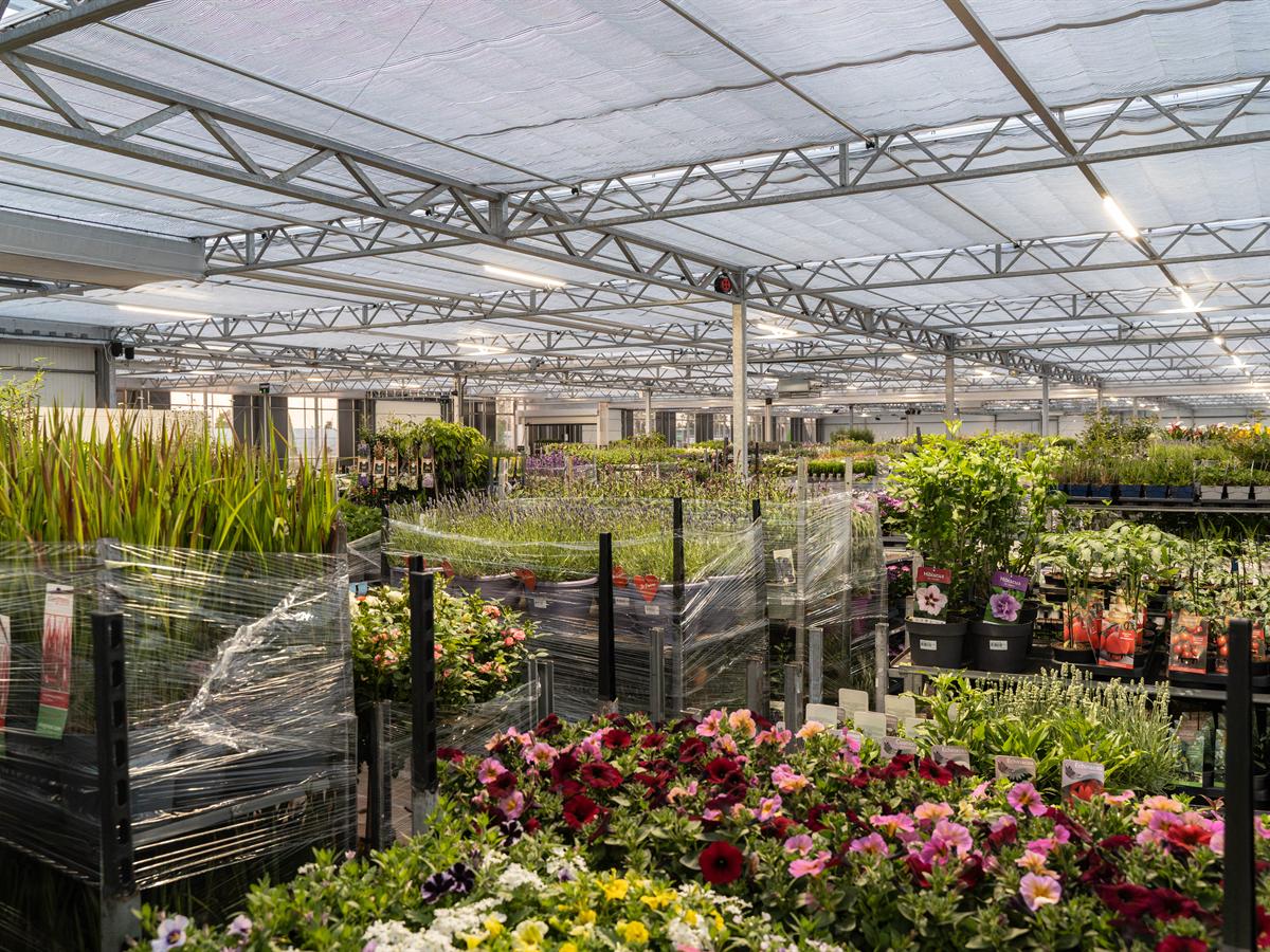 Bloeiend perkgoed en mediterrane planten op karren in de hal
