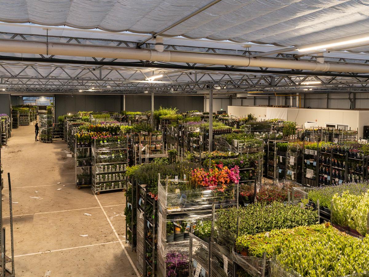 Karren met tuinplanten en perkgoed in de hal van Plant Collect