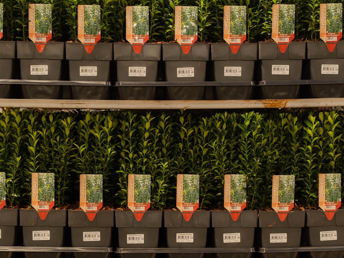 Tuinplanten met een informatielabel bij elke pot