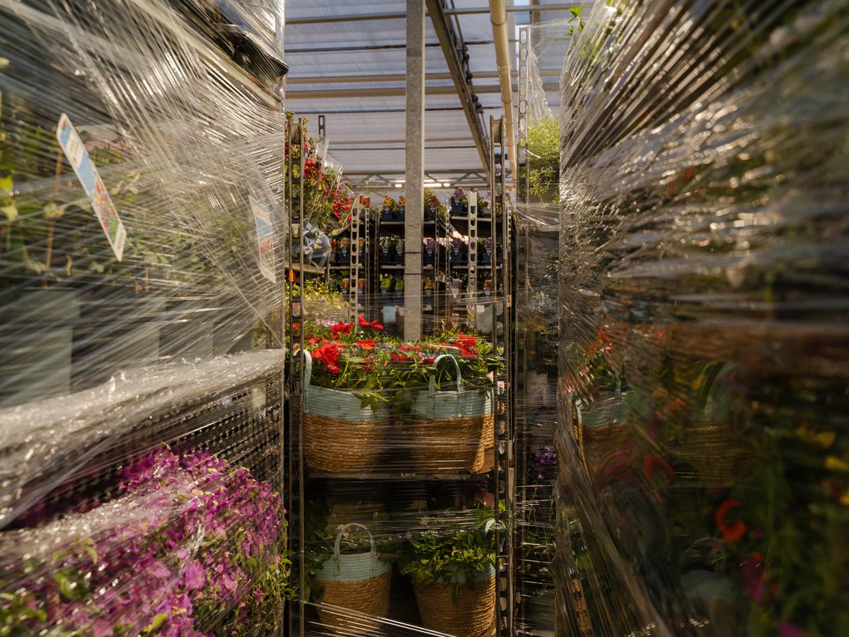 Ingepakte karren met planten van verschillende kwekers, klaar om samen te rijden
