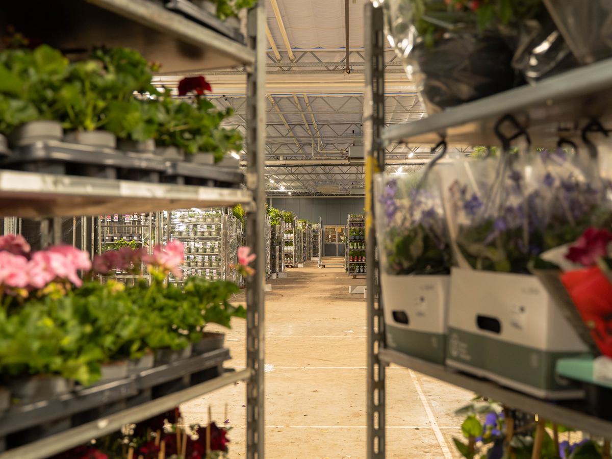 Karren met bloeiende potplanten in de hal van Plant Collect